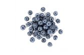 Limited Edition Sweetest Batch Jumbo Blueberries