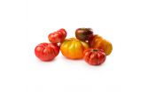 Local Organic Heirloom Tomatoes