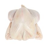 ABF Whole Turkey 20-24 LB