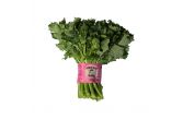 Organic Andy Boy Broccoli Rabe