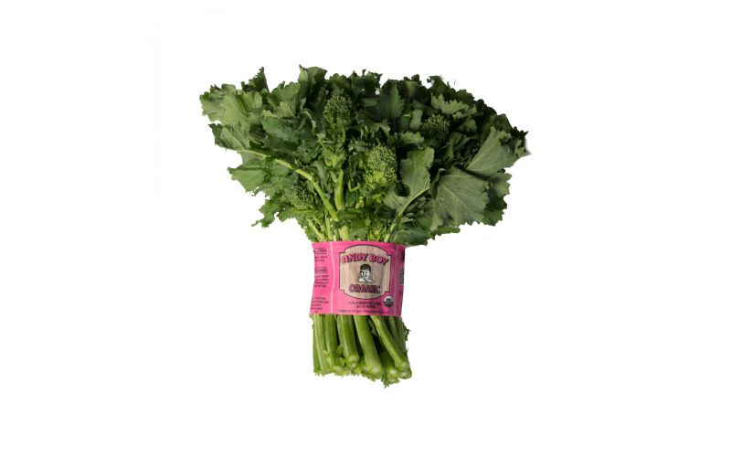 Organic Andy Boy Broccoli Rabe