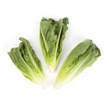 Organic Romaine Hearts