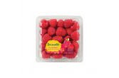 Limited Edition Sweetest Batch Raspberries