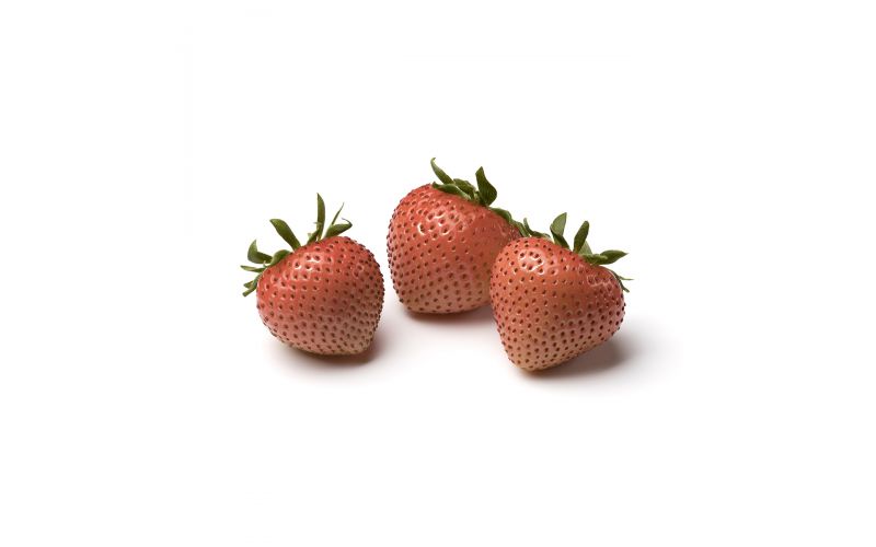 Limited Edition Rosé Strawberries