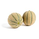 Tuscan Cantaloupe Melons