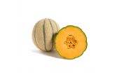 Tuscan Cantaloupe Melons