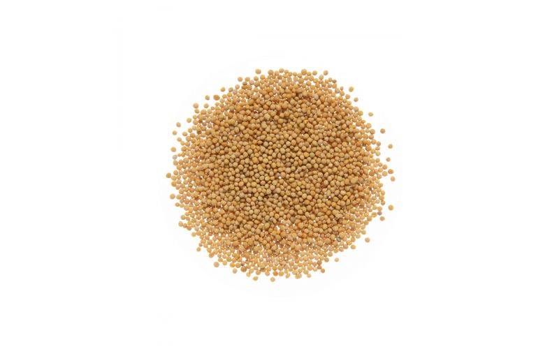 Yellow Mustard Seed