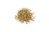 Fennel Seeds