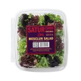 Mesclun Salad