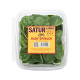 Baby Spinach