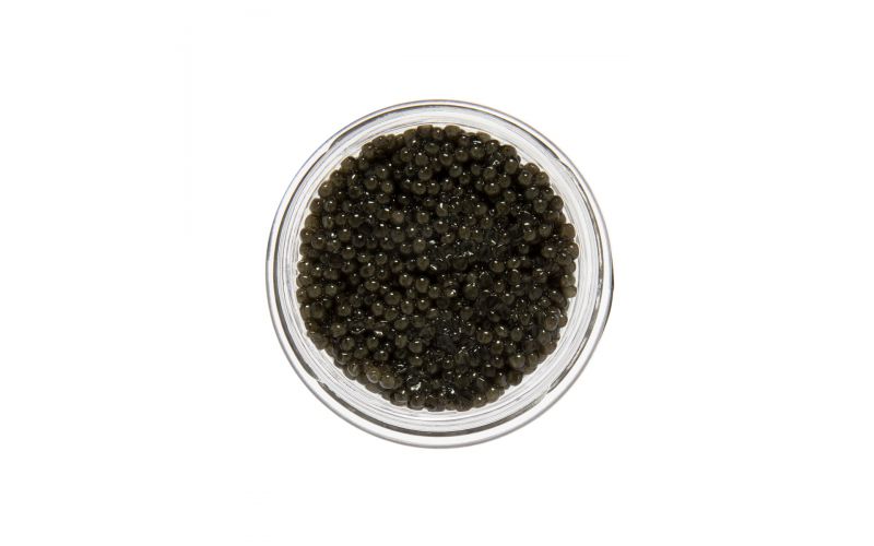 Belgian Reserve Osetra Sturgeon Caviar