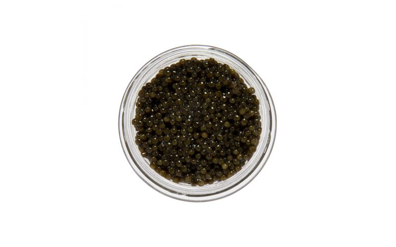 Amber Kaluga Hybrid Sturgeon Caviar