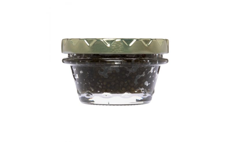 Amber Kaluga Hybrid Sturgeon Caviar