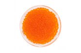 Rainbow Trout Roe