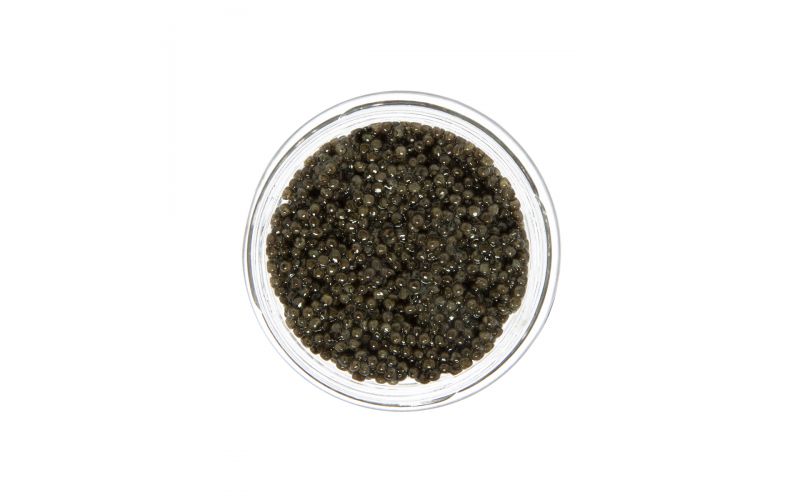 Polish Siberian Sturgeon Caviar