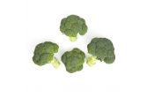 Iceless Broccoli Crowns