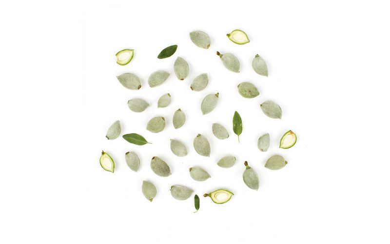 Fresh Green Almonds