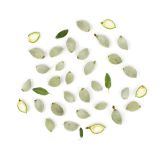 Fresh Green Almonds