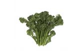 Broccolini