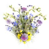 Edible Flower Mix