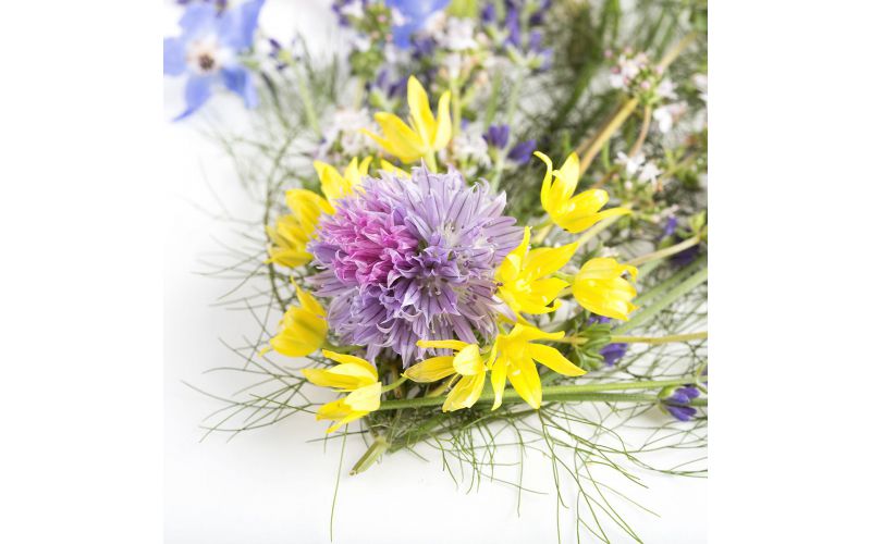 Edible Flower Mix