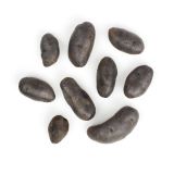 Purple Peruvian Fingerling Potato