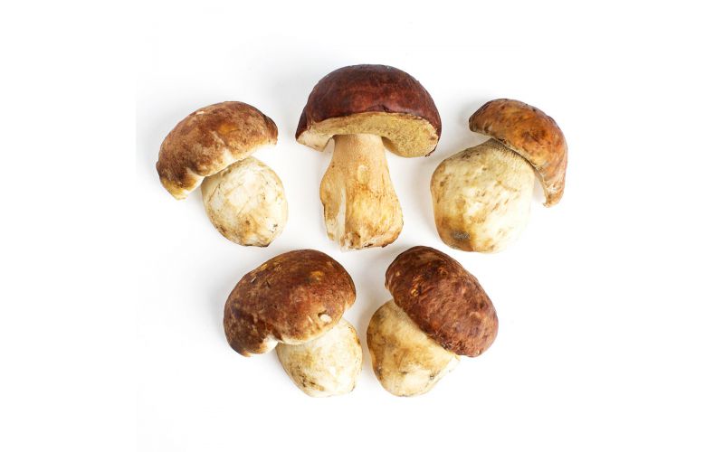 Grade No. 1 Porcini Mushrooms