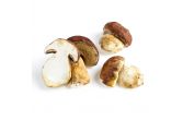 Grade No. 1 Porcini Mushrooms