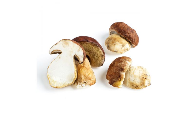 Grade No. 1 Porcini Mushrooms