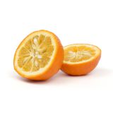 Seville Sour Oranges