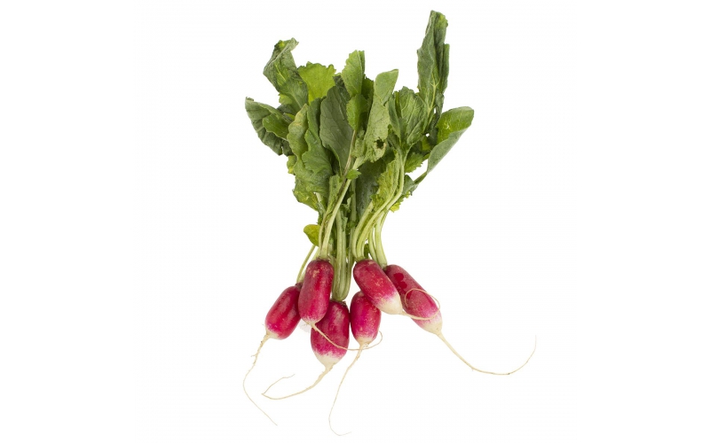 French Breakfast Radishes