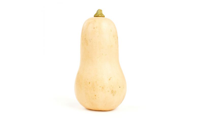 Butternut Squash