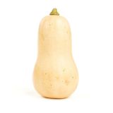 Butternut Squash