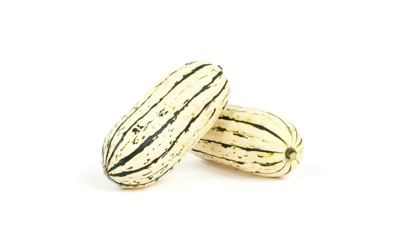 Delicata Squash