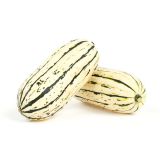 Delicata Squash