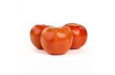 Extra Large/Jumbo Tomatoes