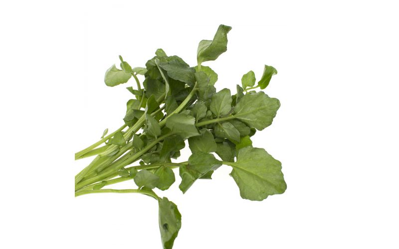 Bunched Watercress