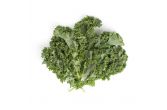 Organic Green Kale