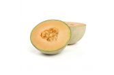 Cantaloupe Melons