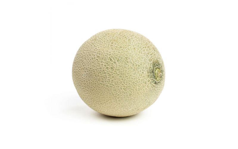 Cantaloupe Melons