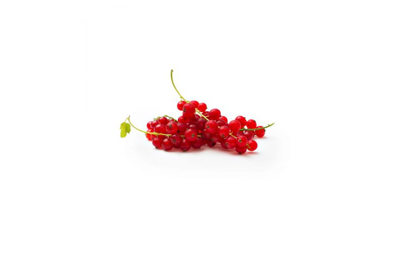 Local Red Currants