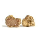 Fresh Medium White Truffles Drop Ship