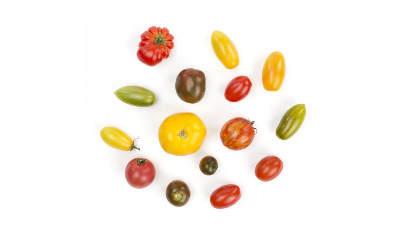 Medium Heirloom Tomatoes