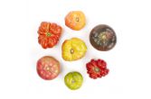 Large Heirloom Tomatoes