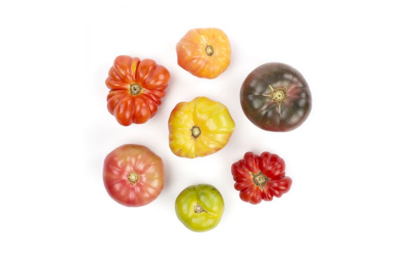 Large Heirloom Tomatoes