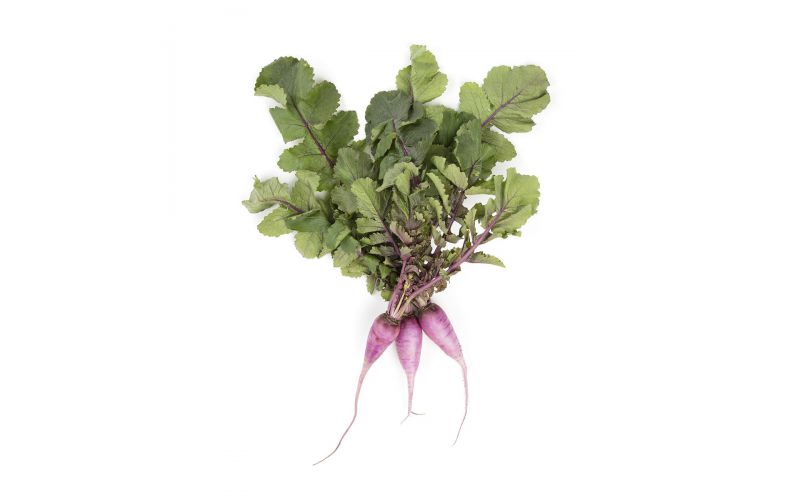 Purple Ninja Radishes