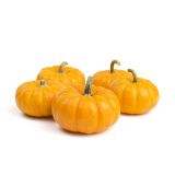 Mini Pumpkins