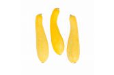 Yellow Medium Squash