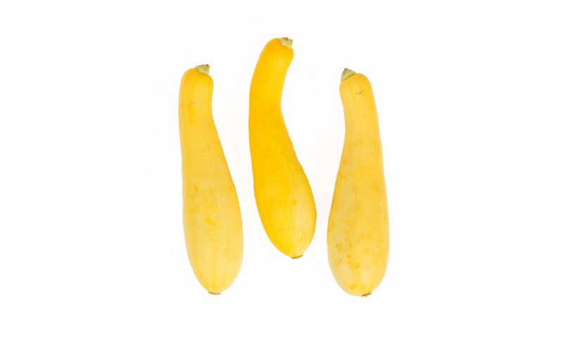 Yellow Medium Squash