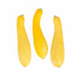 Yellow Medium Squash